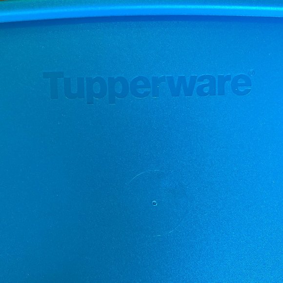 Tupperware Large Lunch-It Storage Container New - Picture 10 of 12